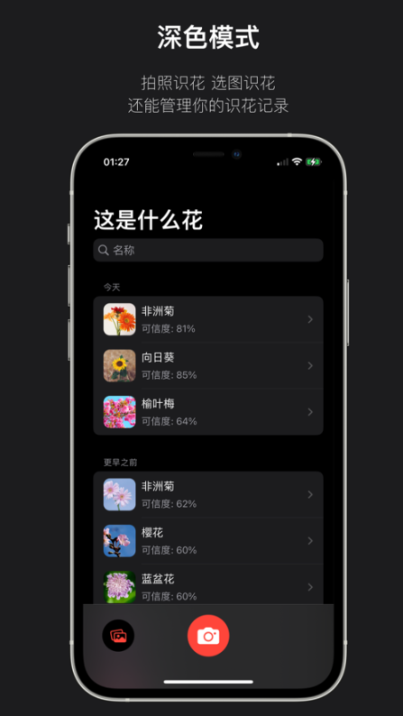 这是什么花截图2