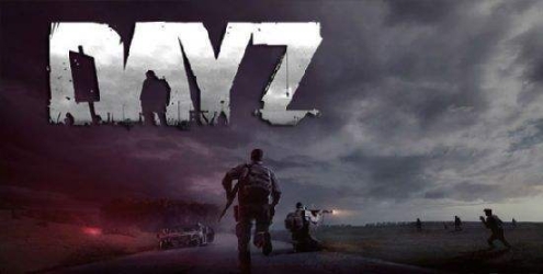 Dayz手机版截图0