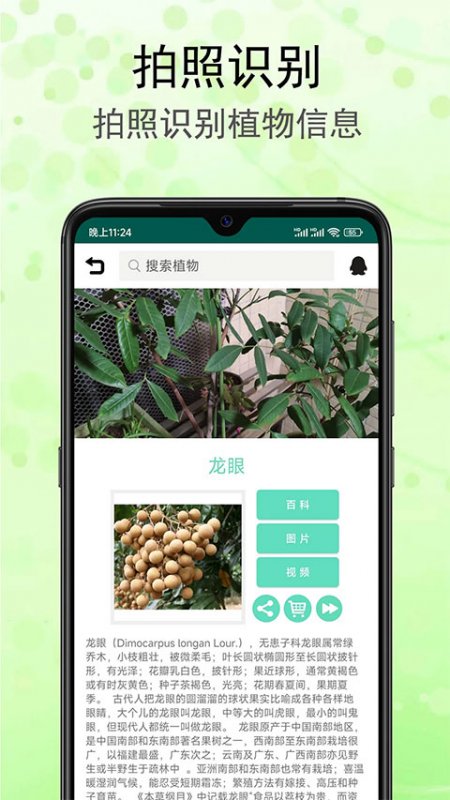 识花草软件截图0
