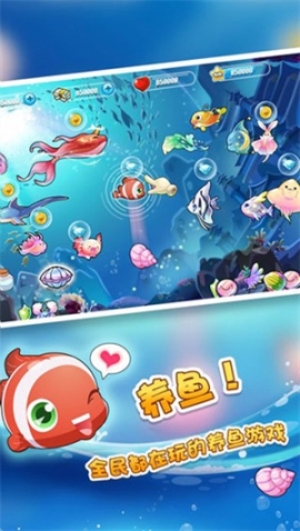 开心水族箱安卓版 v11.5.266 最新版截图2