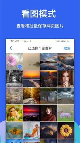 Alook浏览器扩展插件 v9.2 安卓版截图3