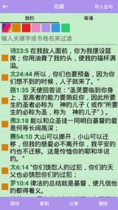 精读圣经官网版截图2