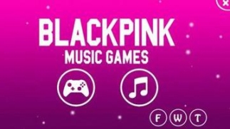 blackpinkthegame中文华为截图3