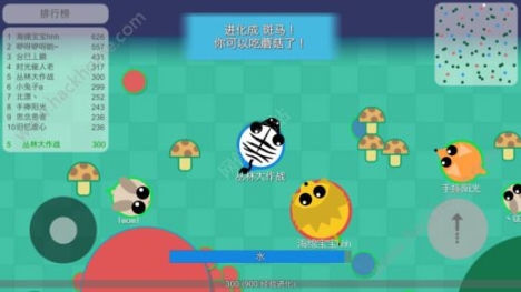 丛林大作战正版截图2