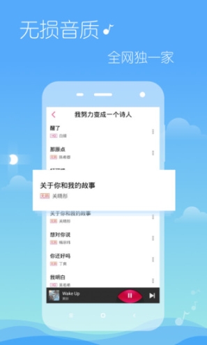 多米音乐安装截图1