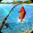 Fishing Clash官方正版