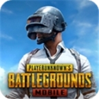 pubgmobile国际服2024